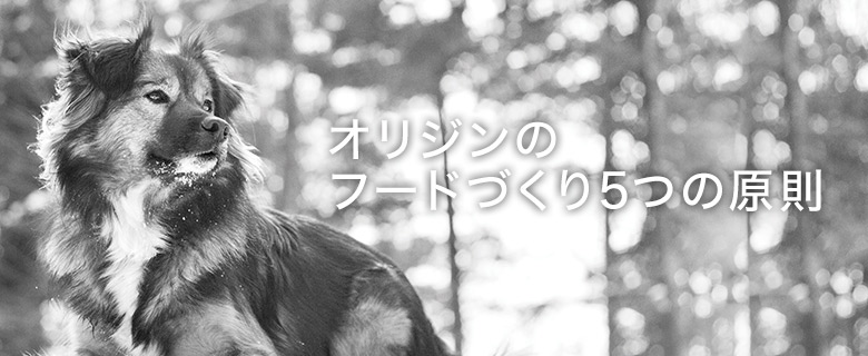 オリジンのフードづくり5つの原則