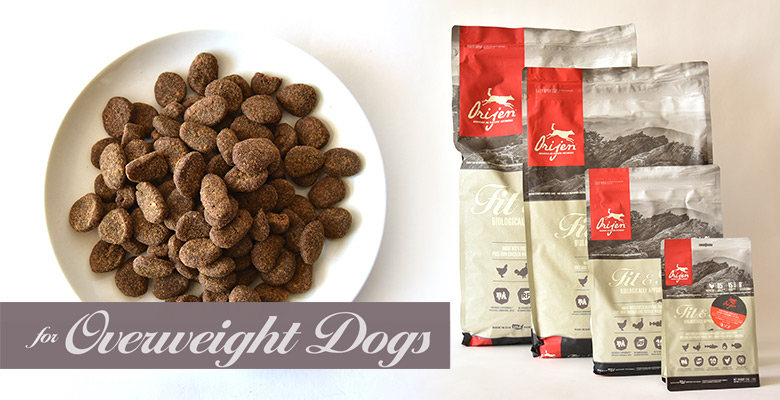 オリジン フィット&トリム