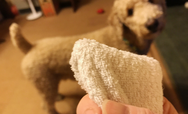 デンタルプロバイオティクス