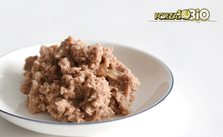 フォルツァ10 エブリディBIO サーモン 100g