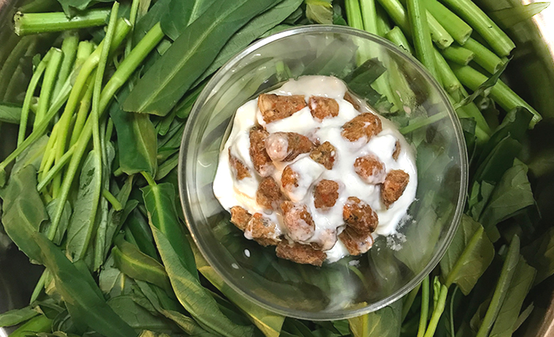 アラスカサーモンを使って