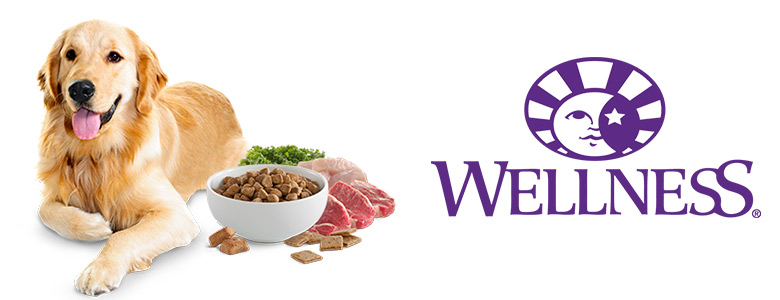 世界中の犬たちの「スタンダード」であるために