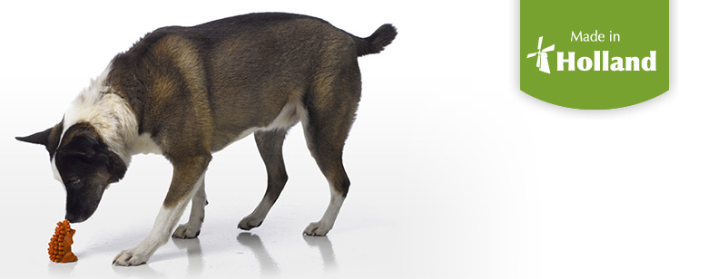 ウィムズィーズが選ばれる理由