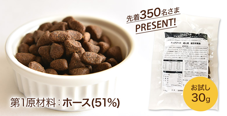 プレゼント