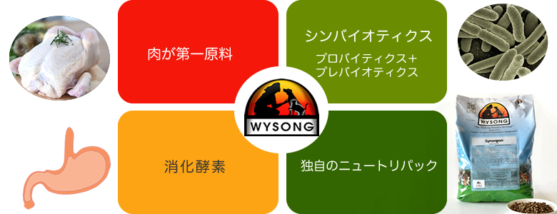 製品の特長