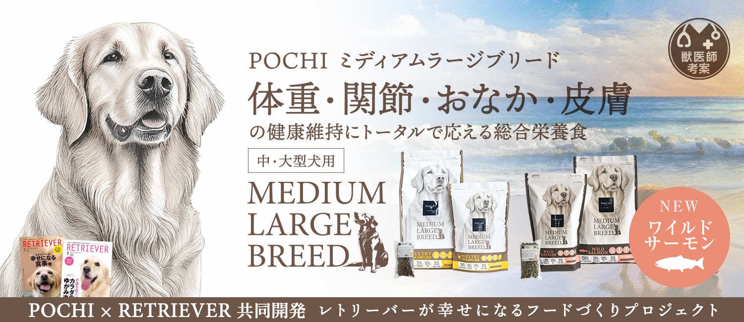 POCHI ミディアムラージブリード