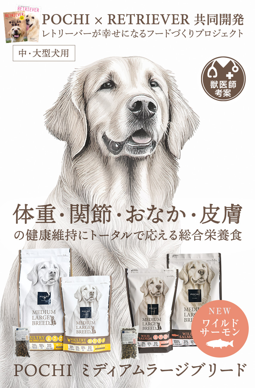 POCHI ミディアムラージブリード