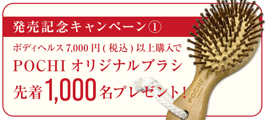 先着プレゼント