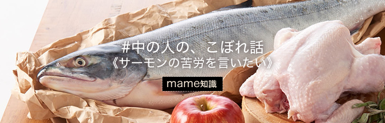 sサーモンを使うことについて