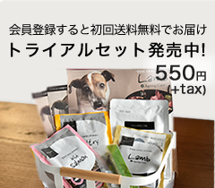 犬のあくびに要注意 病気やストレスが潜んでいることも 犬のあくびに隠された意味