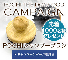 キャンペーンバナーPC