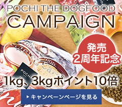 キャンペーンバナーPC