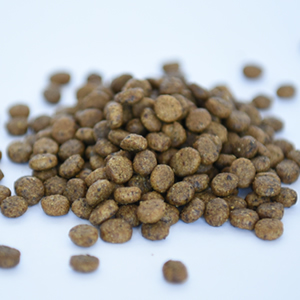 ドライフードの粒画像