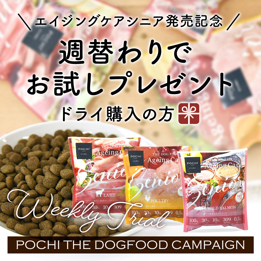 POCHI ザ・ドッグフード キャンペーン