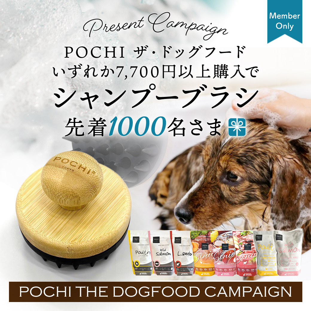 POCHI ザ・ドッグフード キャンペーン