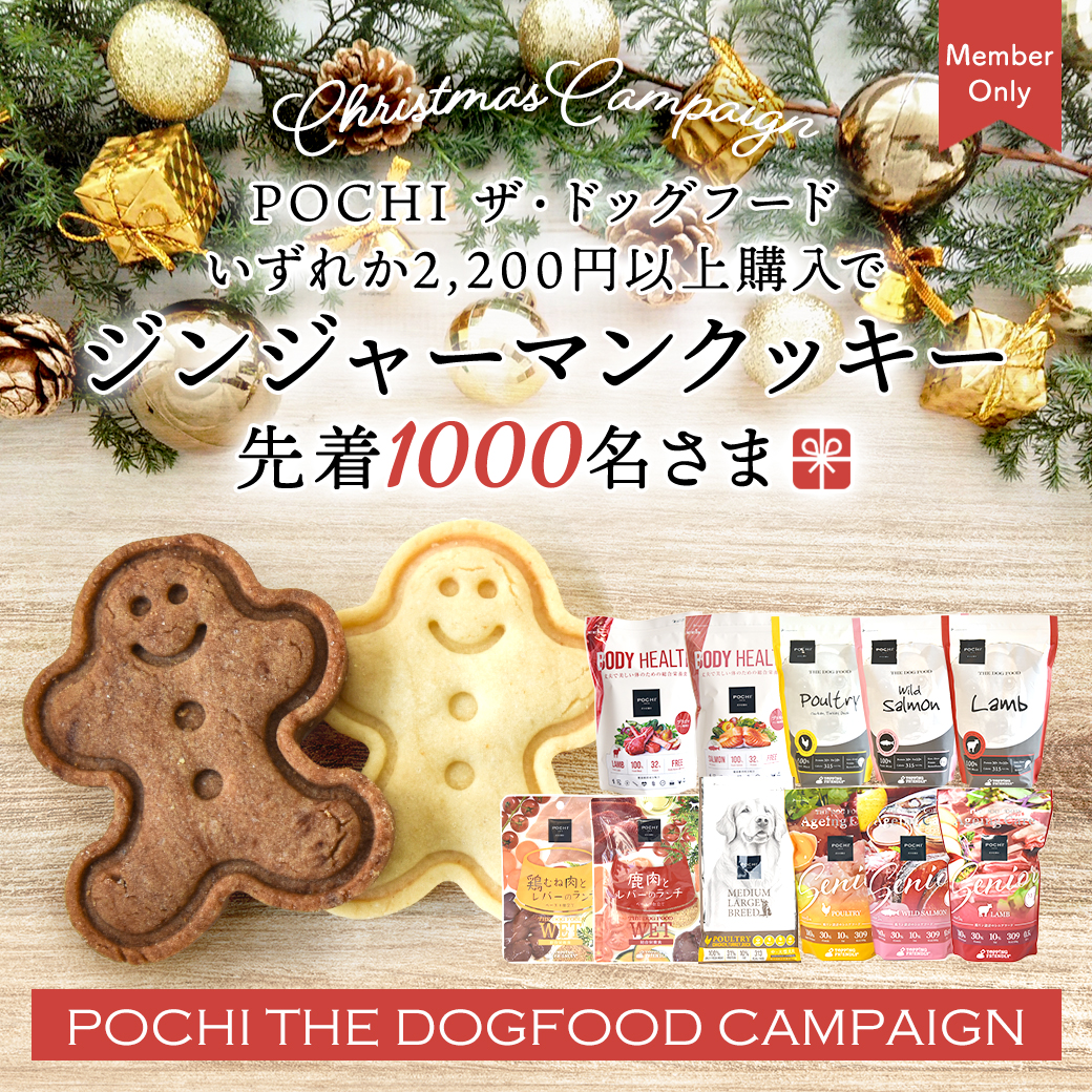 ジンジャーマンクッキープレゼント