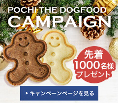 ザ・ドッグフード キャンペーン