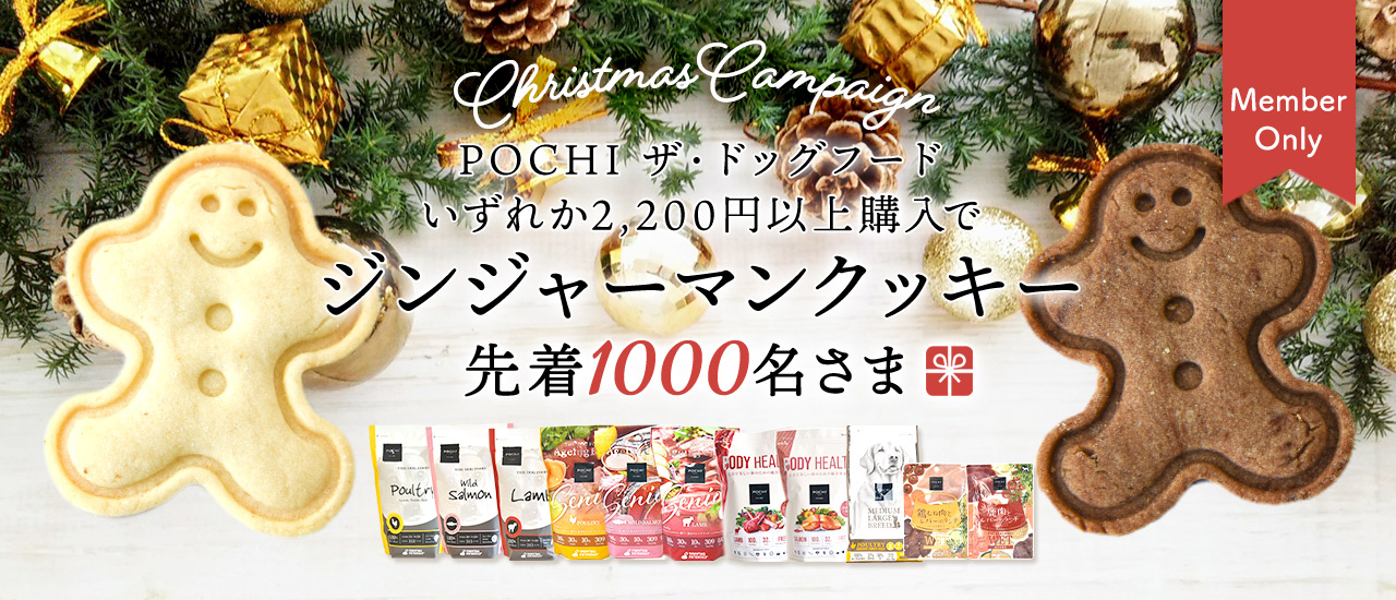 ジンジャーマンクッキープレゼント