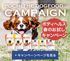 キャンペーンバナーPC