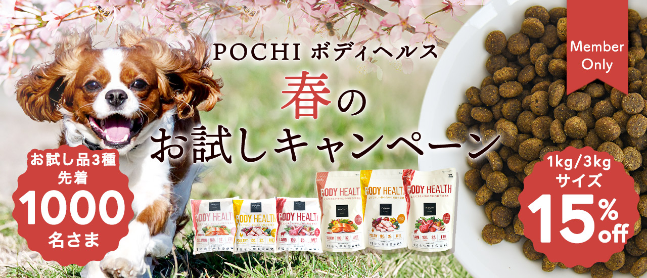 ボディヘルスキャンペーン