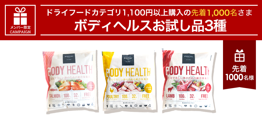 先着プレゼント