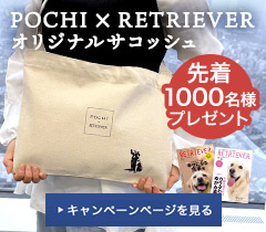 キャンペーンバナーPC