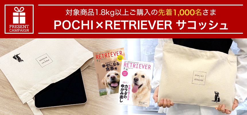 サコッシュ