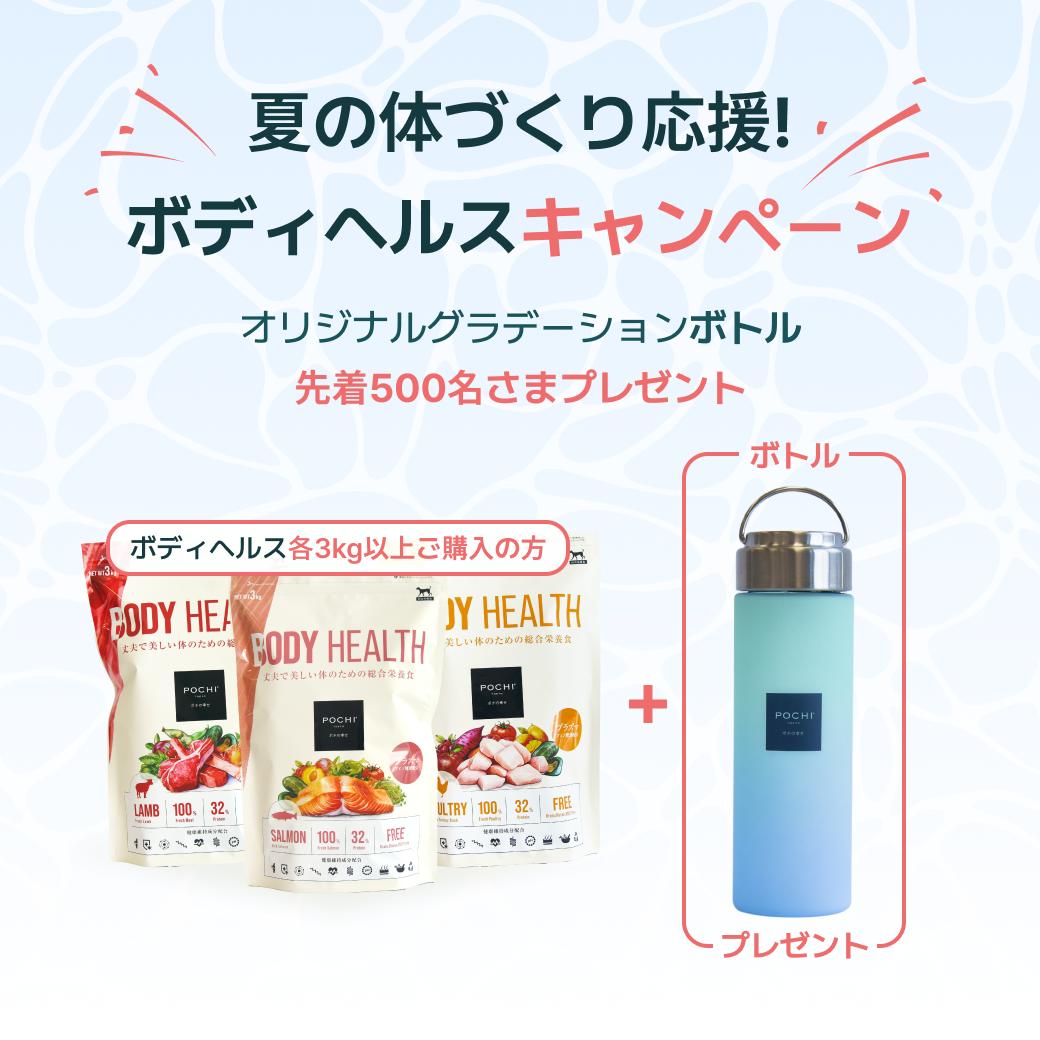 ボディヘルスキャンペーン
