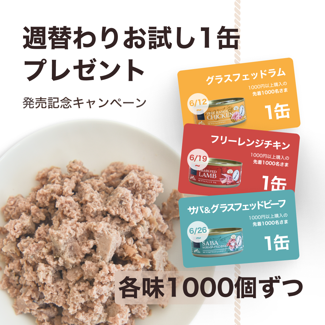 POCHI THE DOGFOOD（ザ・ドッグフード）のキャンペーン