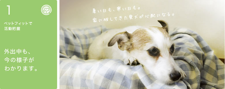 安心ポイント１