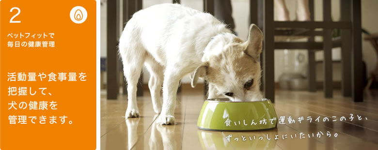 安心ポイント２