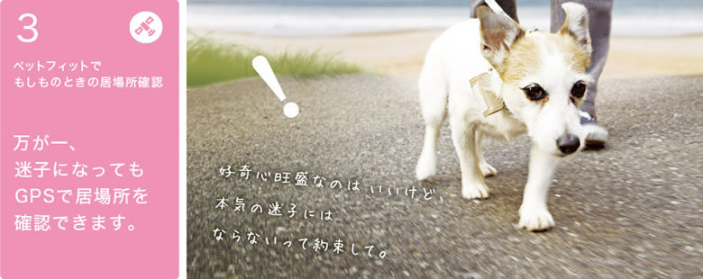 安心ポイント３