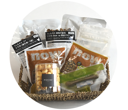 パピージュニア