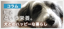 知るという栄養。犬とのハッピーな暮らしのコラムトップへ