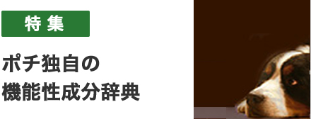 機能性成分一覧表