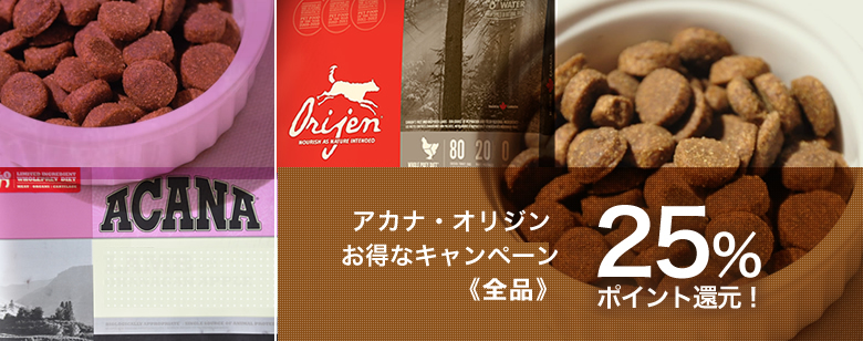 送料無料とポイント10%キャンペーン延長