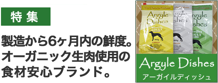 アーガイルディッシュ特集