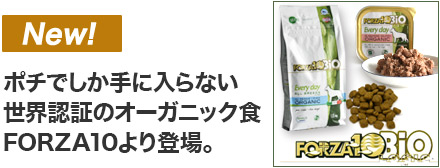 フォルツァ10 エブリディビオ新商品