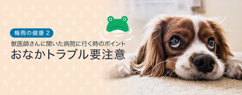 おなかトラブル要注意