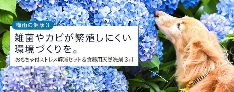 雑菌やカビが繁殖しない環境づくりを。