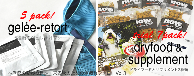 来る秋のために夏疲れフォロー