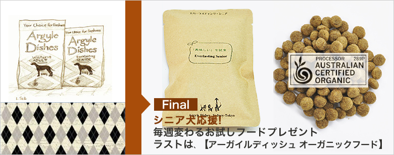 シニア犬応援 ドッグフードプレゼント