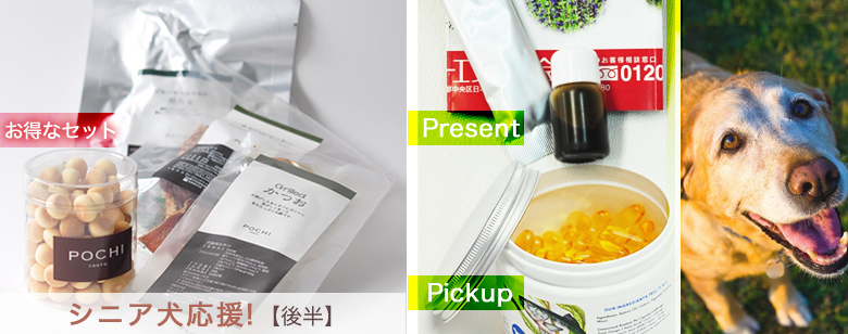 注意したいシニア犬の食事