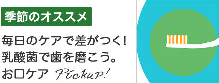乳酸菌で歯を磨こう