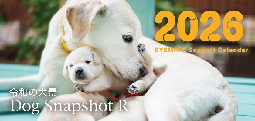 プレミアムドッグフード専門店・通販 POCHI - ポチ公式サイト