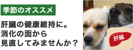 消化から考えた肝臓の特集