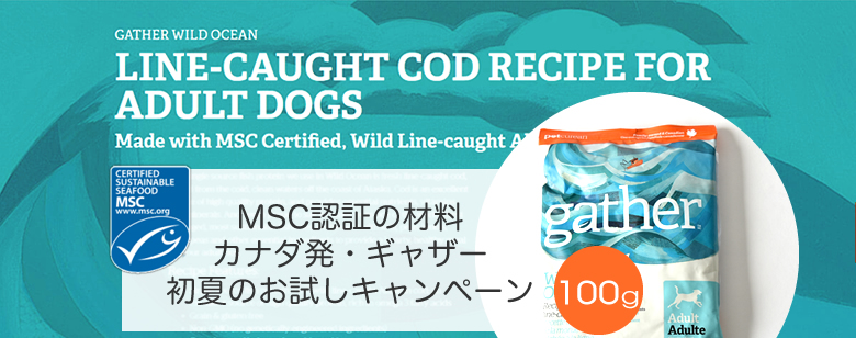 カナダのオーガニックフード　ギャザー（gather）ワイルドオーシャンお試しキャンペーン