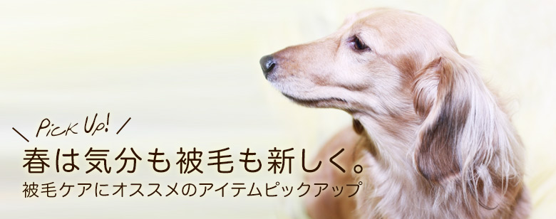 春の被毛にオススメピックアップ
