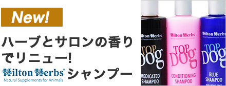 ヒルトンハーブ 新シャンプー