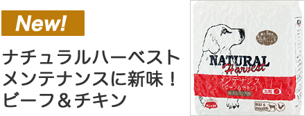 NHメンテナンス~新味ビーフ&チキン